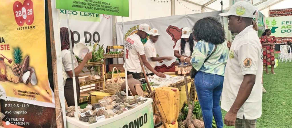 Gastronomia Local